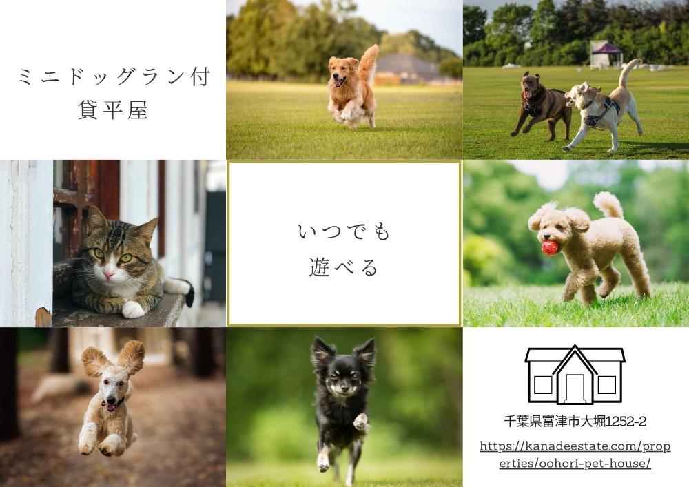 ドッグラン付き平屋貸家